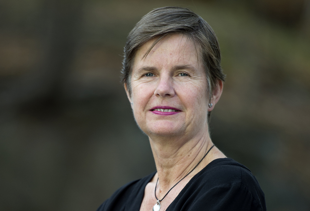 Anna-Lena Sellergren, förvaltningschef på individ- och familjeomsorgsförvaltningen i Borås. Foto: Anna Sigge